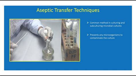 How To Perform Aseptic Transfer Techniques Microbiology 👨🏻‍🔬🧫🧪 Youtube