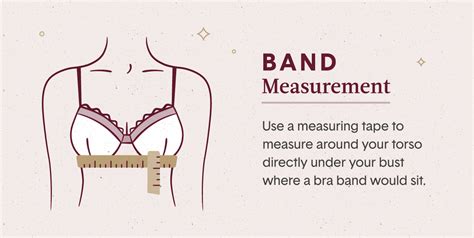 Bra Size Chart How To Measure Bra Size Tommy John Help Center