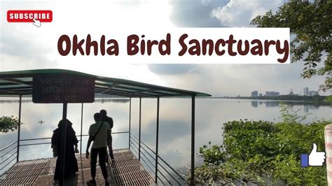 OKHLA BIRD SANCTUARY Best Time To Visit Location Entry Fee