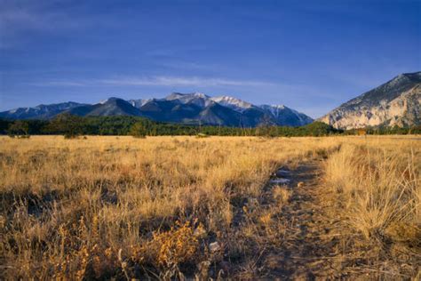 Buena Vista Colorado Foto Foto Foto Stok Potret And Gambar Bebas Royalti