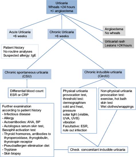 Chronic Idiopathic Urticaria Pictures Symptoms And Treatment Images