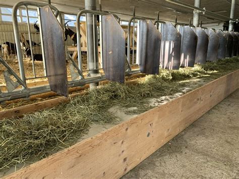 Pin Von Louis Auf Mangeoire Foin In Ziege Landwirtschaft Schafe