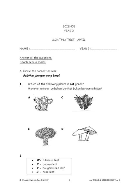 Soalan Science Year 3...... | PDF | Botany | Botany