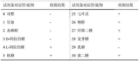 一种鼠李糖乳杆菌及其组合物与应用的制作方法