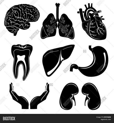 Vector Medical Icons Vector & Photo (Free Trial) | Bigstock