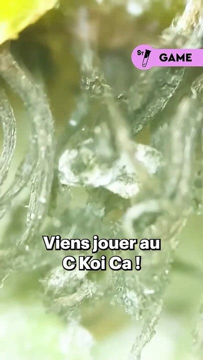 Devine ce quon te montre au microscope Donne nous ta réponse dans