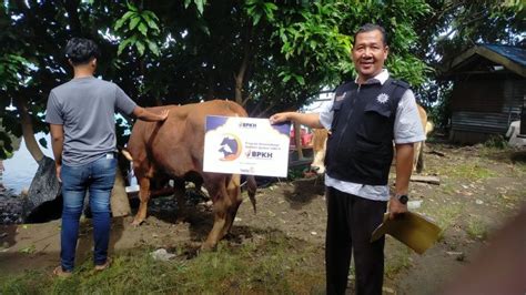 Warga Desa Di Kota Pematangsiantar Rasakan Manfaat Sedekah Qurban Bpkh