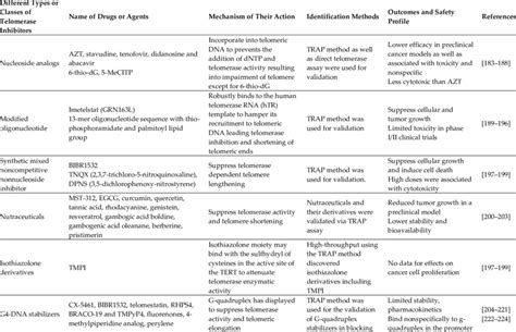 Several types or classes of telomerase inhibitors and their mechanism ...