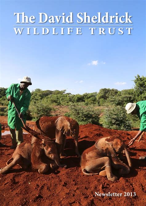 Newsletter 2013 By David Sheldrick Wildlife Trust Issuu