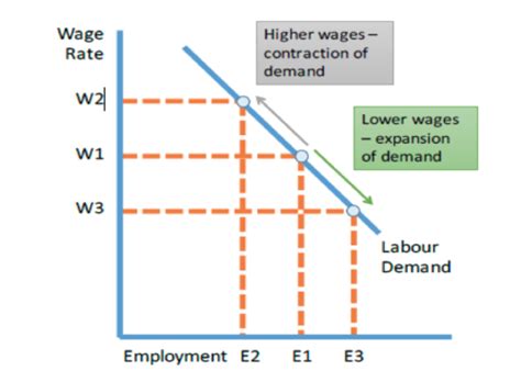 Section 6 The Labour Market Flashcards Quizlet