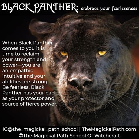 Black Panther Spirit Black Panther Is A Protective Guardian And