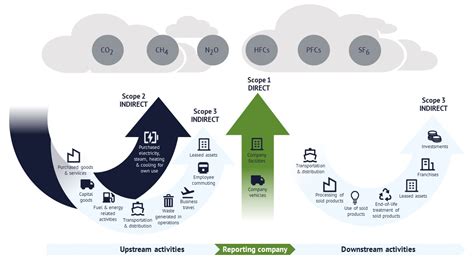 Achieve Net Zero Through Life Cycle Assessment Hedgehog Company