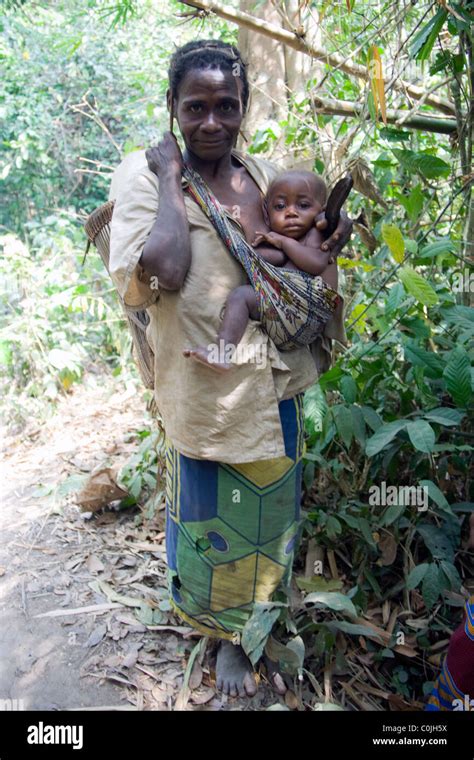 Pygmies In The Equatorial Forest Betourepublic Of The Congo Stock