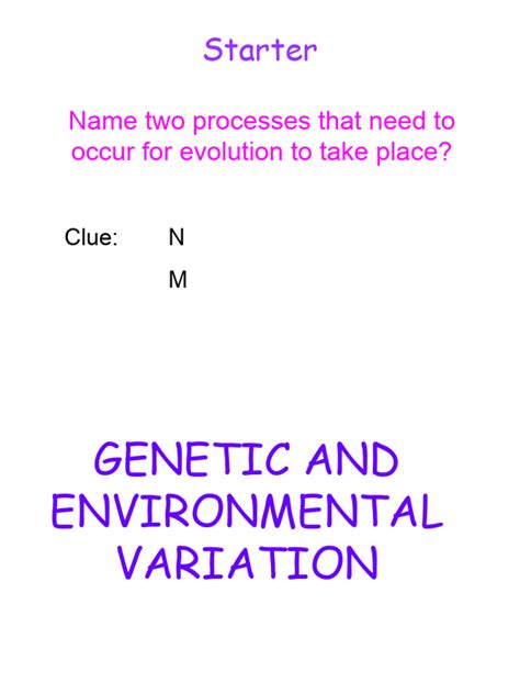 Speciation, Natural Selection and Evolution Student | PDF | Natural Selection | Ploidy