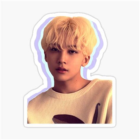 Jisoo Stickers For Sale Seventeen Stickers Jeonghan