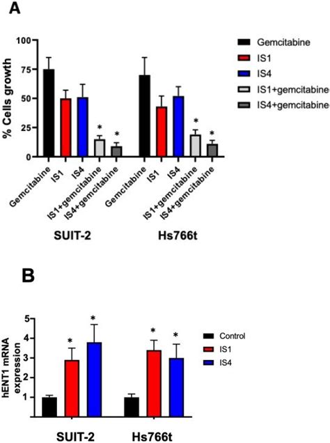 Increase Of Gemcitabine Sensitivity A Effect On Growth Of Suit 2 And