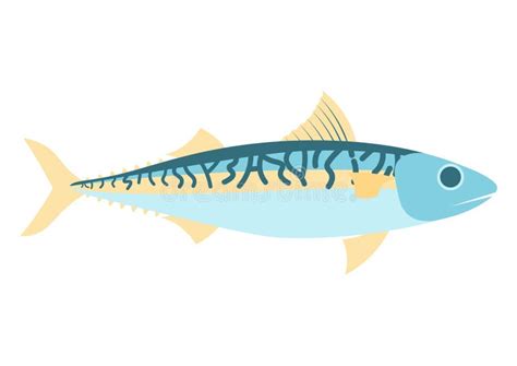 Mackerel Vector Illustration Mackerel Vector Icon Illustration