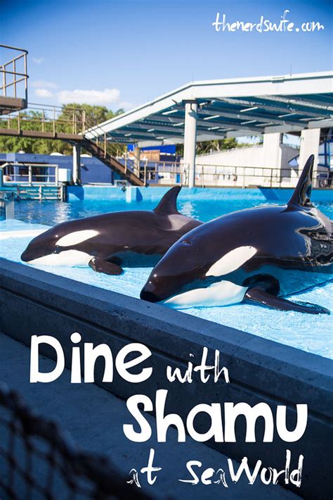 Dine with Shamu at SeaWorld San Antonio - The Nerd's Wife