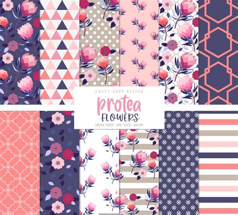 Protea Flowers Floral Navy Pink Geometric Backgrounds Etsy