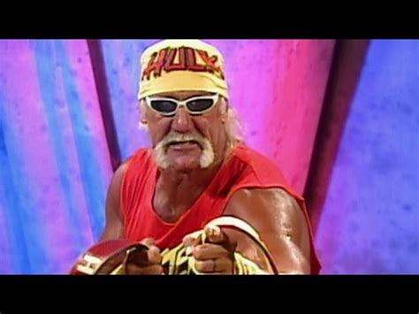 Ytp Hulk Hogan Best Sale Website Jkuat Ac Ke