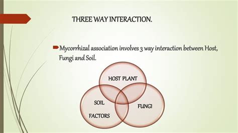 mycorrhiza types, distribution and significance. | PPT