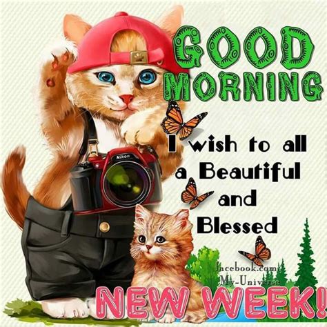 Good Morning I Wish To All A Beautiful And Blessed New Week Pictures