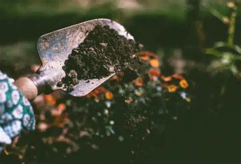 Cultiver Des L Gumes En Ville Astuces Pour Mettre En Place Un Potager