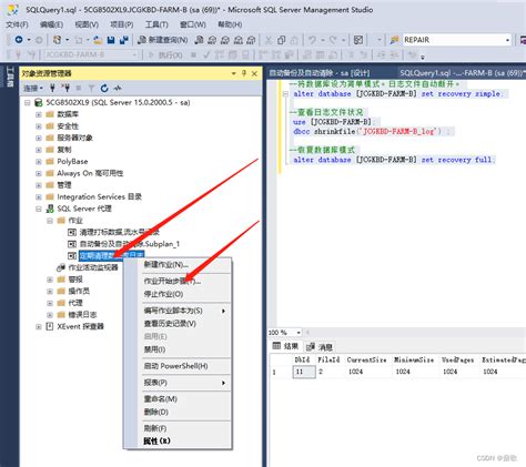 Sql Server2019自动定期清除日志 Sqlserver2019集群下清除日志 Csdn博客