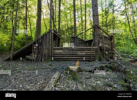 Empty Handmade Forest Shelter Made Out Of Tree Branches Daytime Sunny