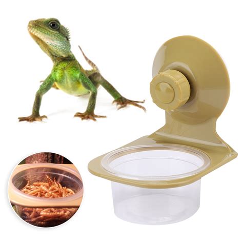 Perfect In Workmanship Can Feed Your Reptile On Daily Basis With