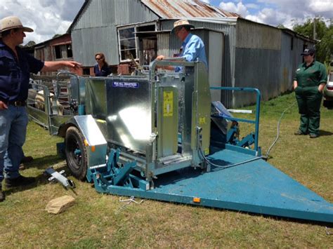 Drop Down Sheep Handler Trailer Peak Hill Industries