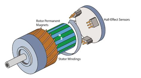 Choosing Between Brush And Brushless Dc Motors Allied Motion