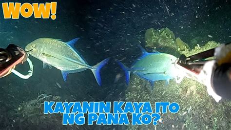 Ep Night Spearfishing Philippines Kayanin Kaya Ng Pana Ko Ang