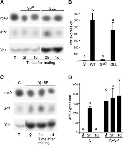 Drosophila Sex Peptide Stimulates Female Innate Immune System After Mating Via The Toll And Imd