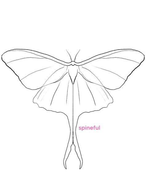 Luna Moth Tattoo Design Ideas