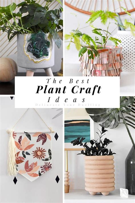 Plants Crafts Delineate Your Dwelling