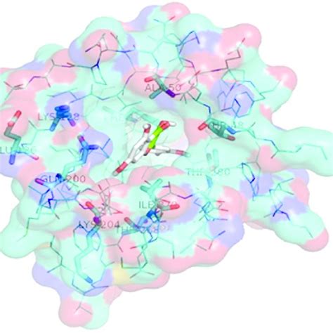 Surface Representation Of Dengue Virus E Protein PDB 1OKE With The