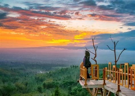 5 Wisata Alam Bondowoso Terpopuler Tawarkan Keindahan Tak Terlupakan