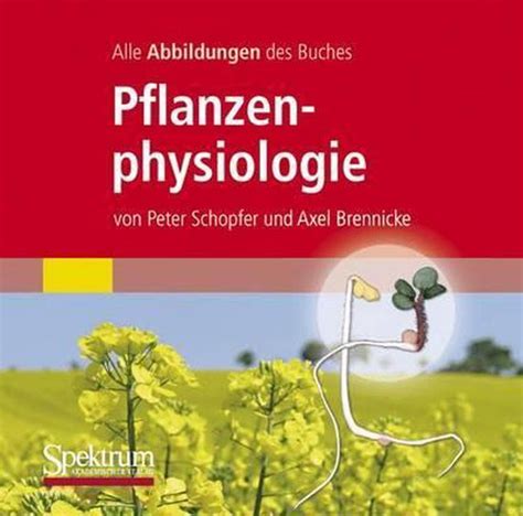 Alle Grafiken Des Lehrbuchs Pflanzenphysiologie Peter