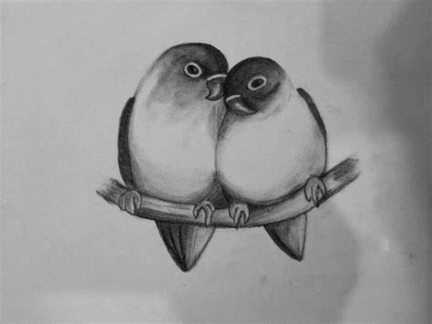 Love Birds Drawing | Love birds drawing, Bird sketch, Animal drawings