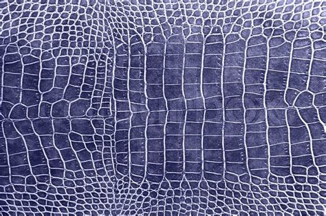 Dark Blue Crocodile Skin Texture As A Stock Image Colourbox