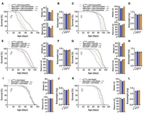 Control Of Lifespan And Survival By Drosophila Nf κb Signaling Through Neuroendocrine Cells And