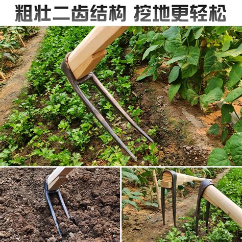 农用翻地松土神器二齿锄头开荒刨地家用种菜锰钢农具农用工具大全虎窝淘