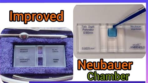 Improved Neubauer Chamber In Detail WBC RBC Platelet Count