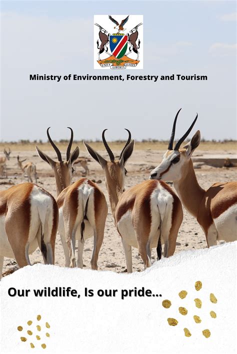 Ministry of Environment, Forestry and Tourism Namibia - Home