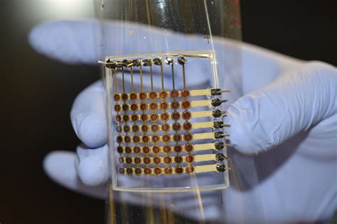 scientists  print flexible oled display scinews