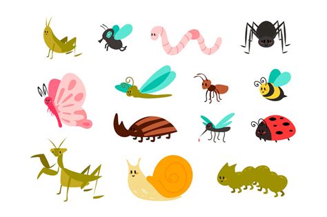 Cute bugs set. Cartoon colorful garden animals for kids illustration, By SpicyTruffel ...