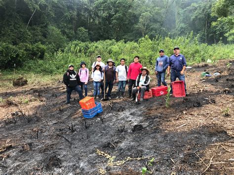 Marn Comienza Proyecto Para Plantar Cinco Mil Rboles Ministerio De