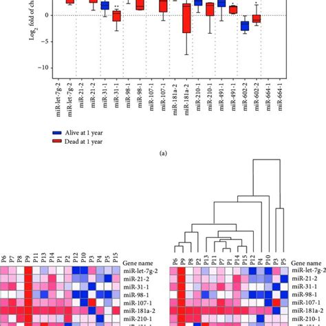 Mirna Expression Profile Associated With Patients Survival Status At 1 Download Scientific