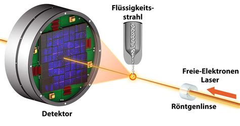 Freie Elektronen Laser Enth Llen Detaillierte Architektur Von Proteinen